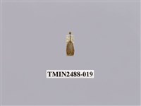 藏品(暗良苔蛾)的圖片